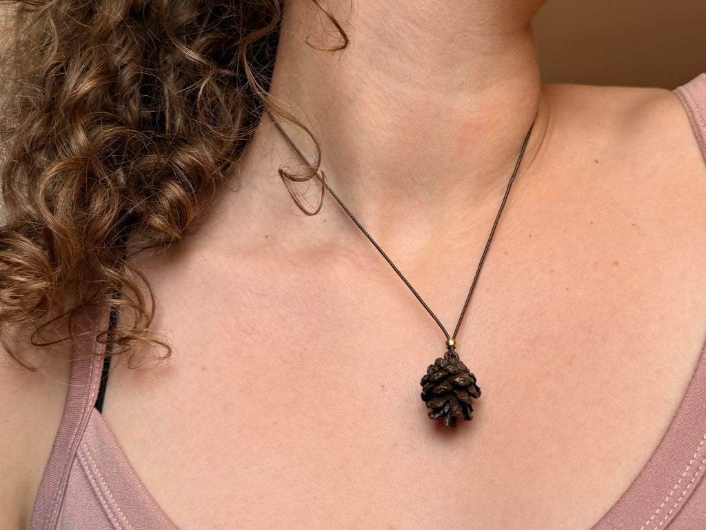 Collana Pigna - PINO SILVESTRE