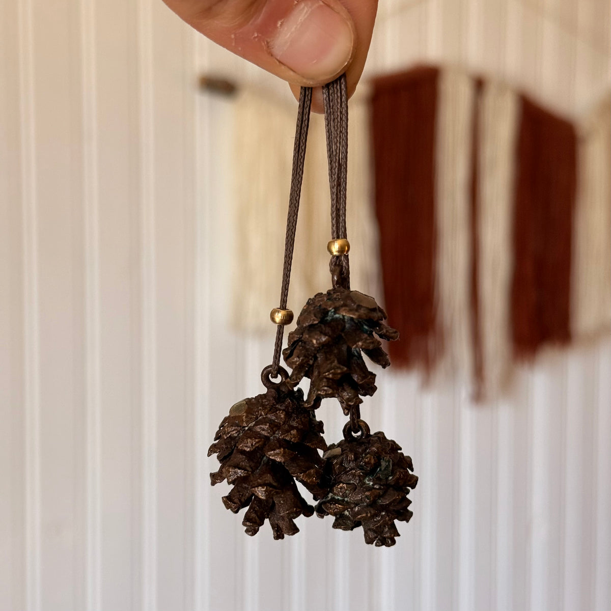 Collana Pigna - PINO SILVESTRE