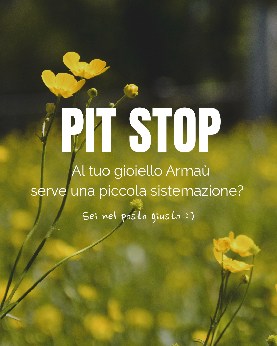 PIT STOP- RIPARAZIONE gioiello Armaù