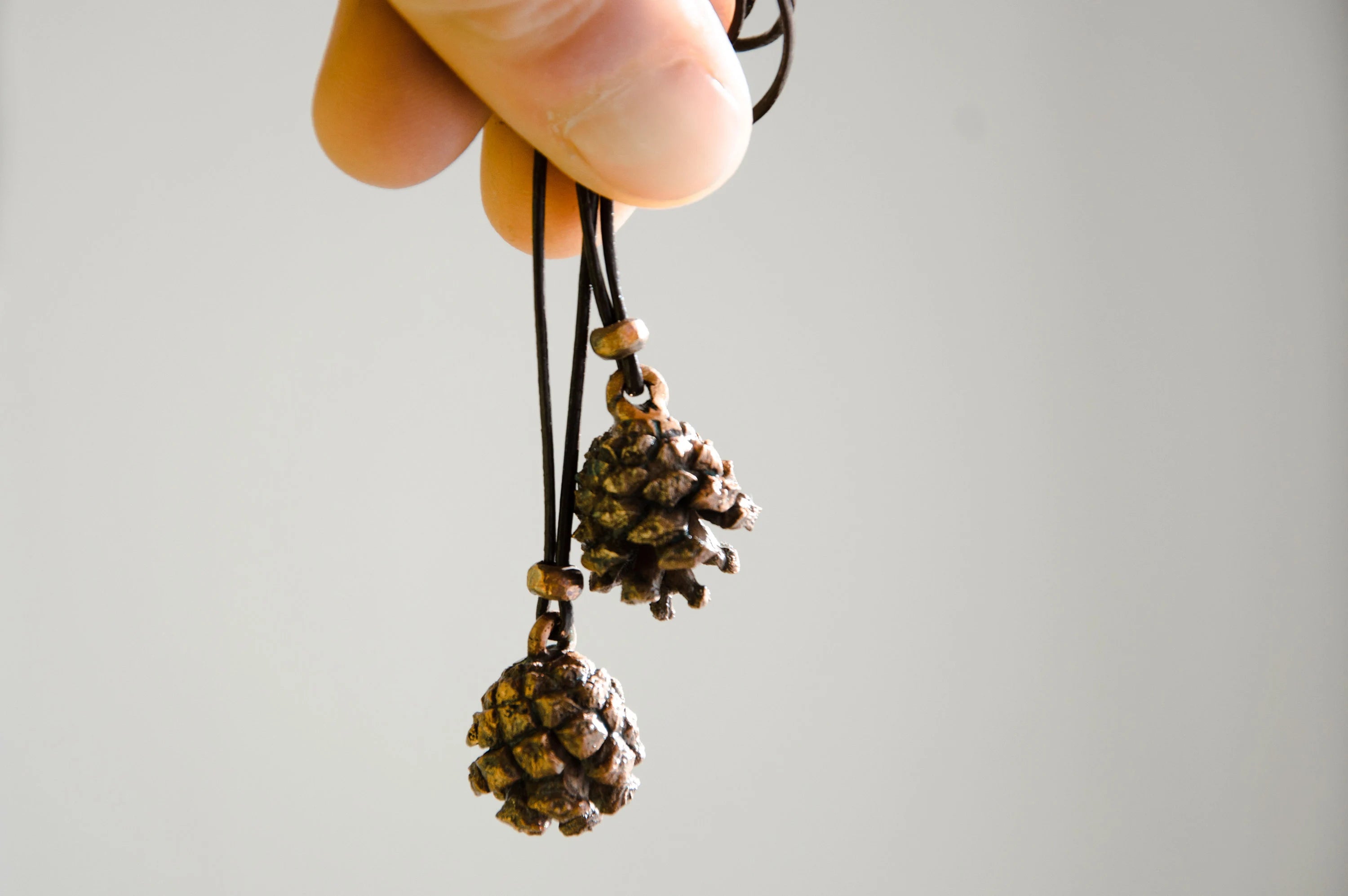 Collana Pigna - PINO SILVESTRE