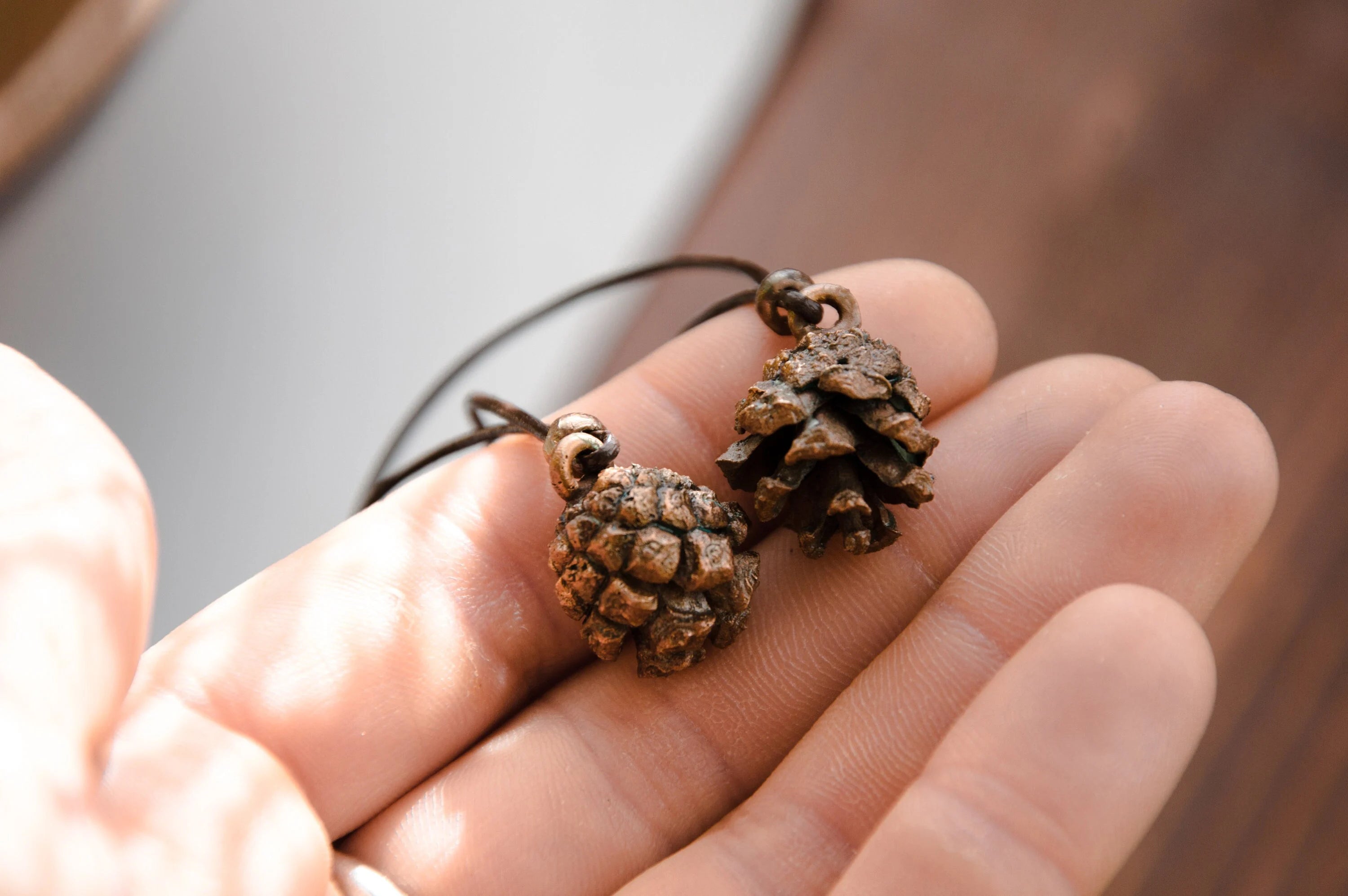 Collana Pigna - PINO SILVESTRE